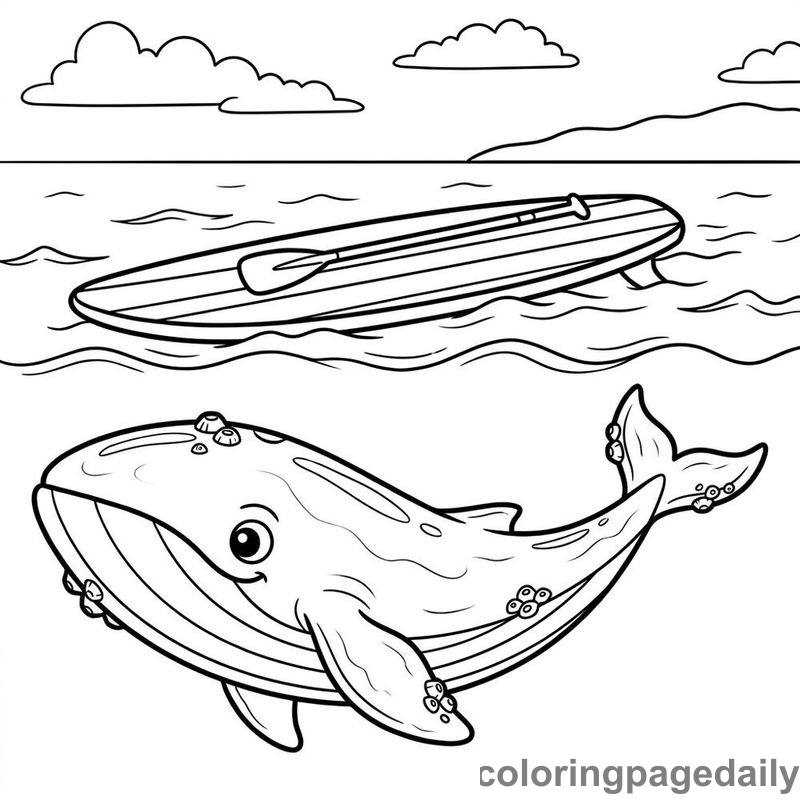 Blue Whale And Paddleboard - Daily printable coloring page in Ocean and Underwater Life category