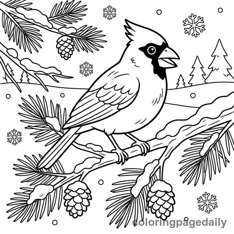 Cardinal on Snowy Branch - Daily printable coloring page in Winter and Snow Season category