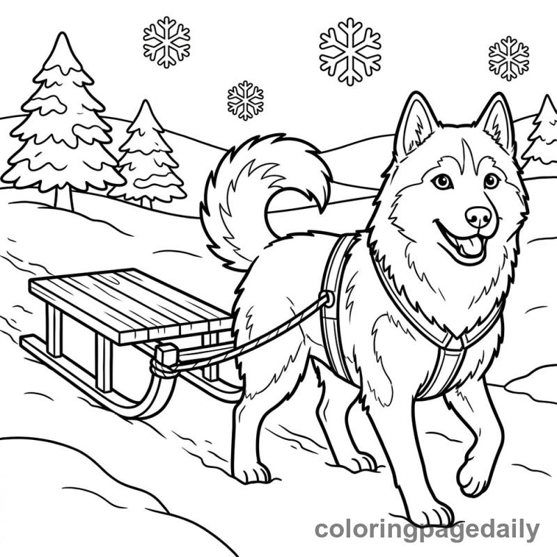 Husky Dog Pulling Sled - Daily printable coloring page in Winter and Snow Season category