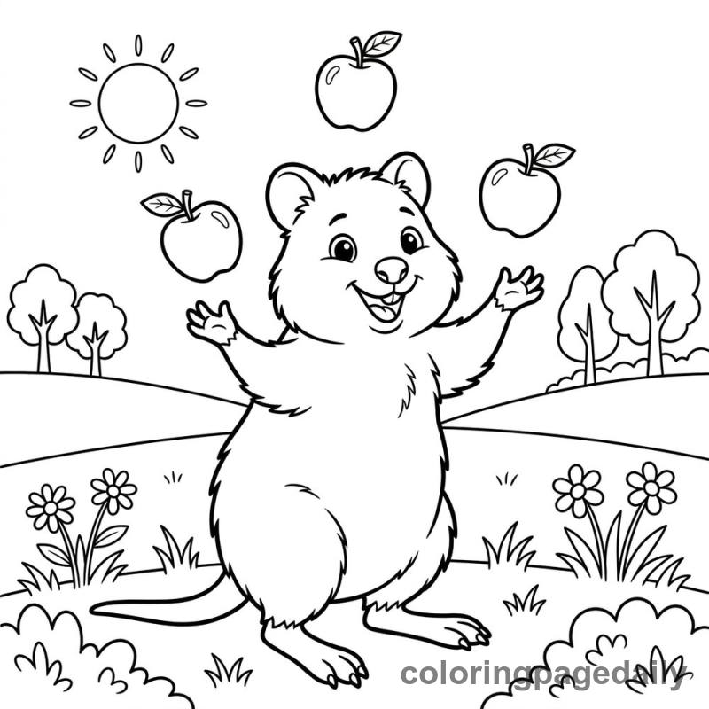 Quokka Juggling Apples - Daily printable coloring page in Animals category