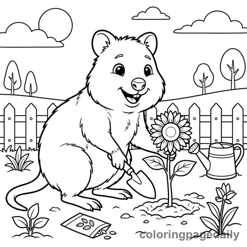 Quokka Plants a Sunflower - Daily printable coloring page in Animals category