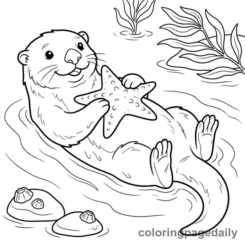 Sea Otter Holding Starfish - Daily printable coloring page in Animals category